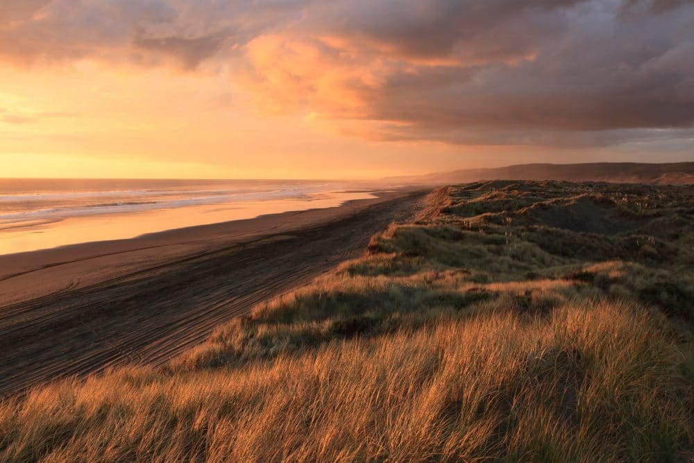Sunset on a long empty beach flanked by grasslands