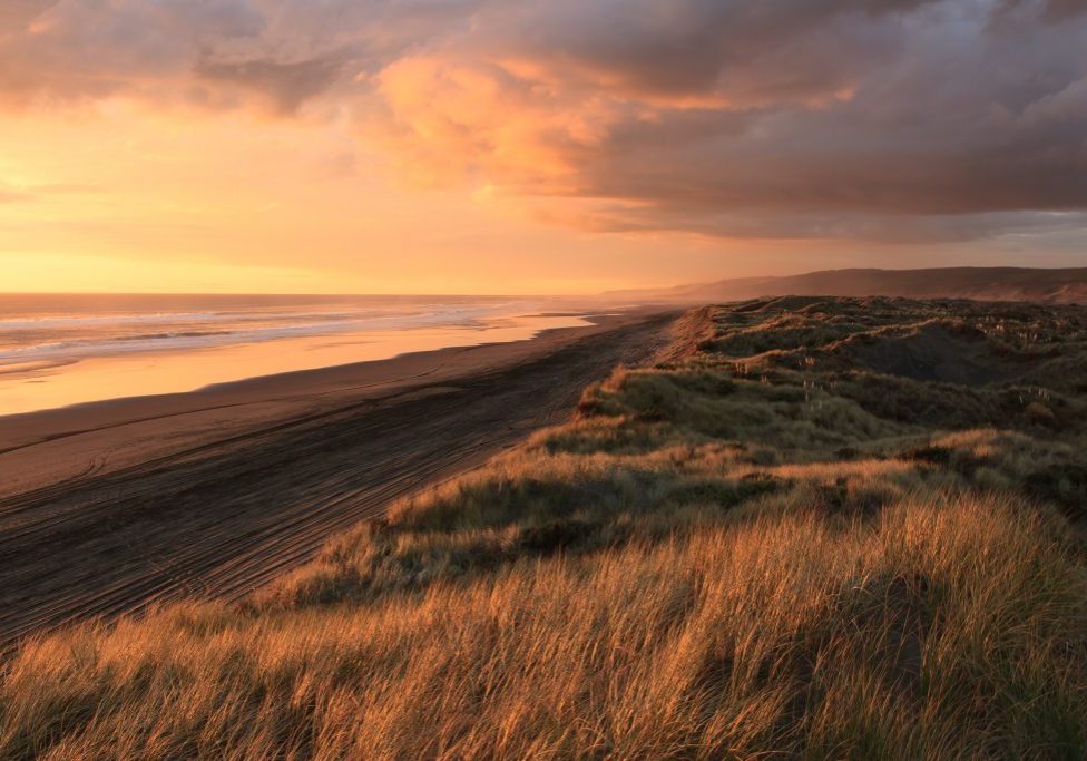 Sunset on a long empty beach flanked by grasslands